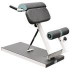 Lateral-Lumbaltrainer stehend (MD)