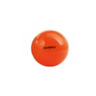 Original Pezzi® Gymnastikball (MD)